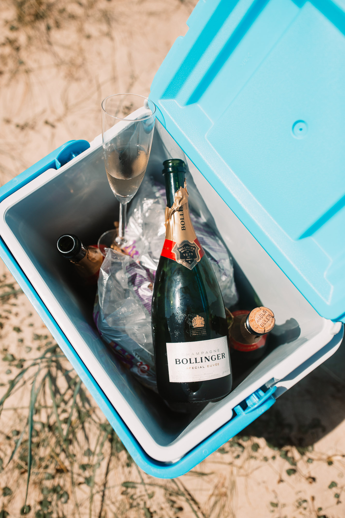 Bollinger champagne in a cool box on shell bay beach