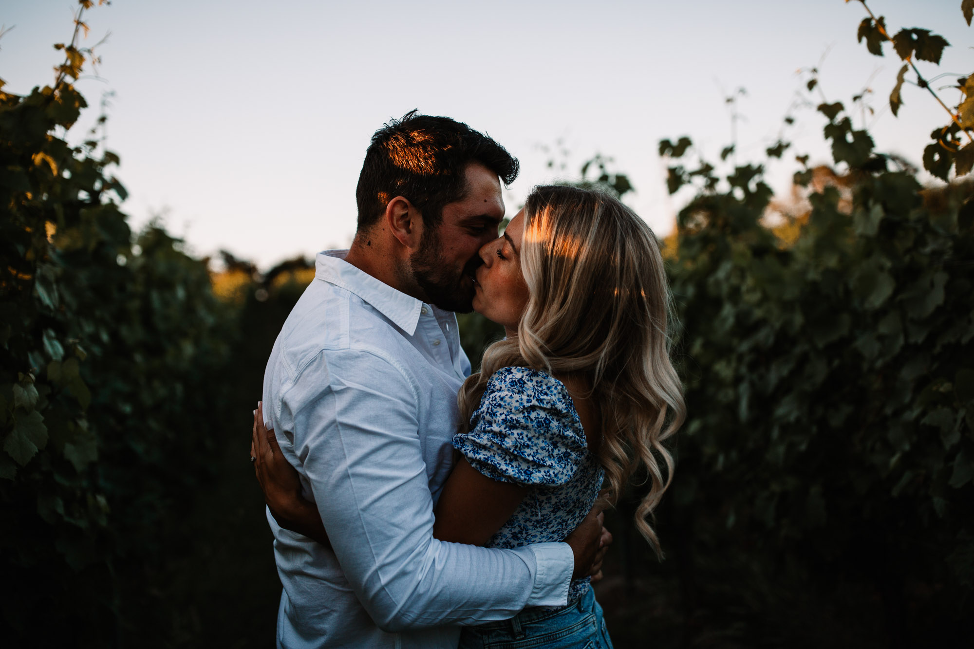 couple kissing in the golden hour inside a vineyard