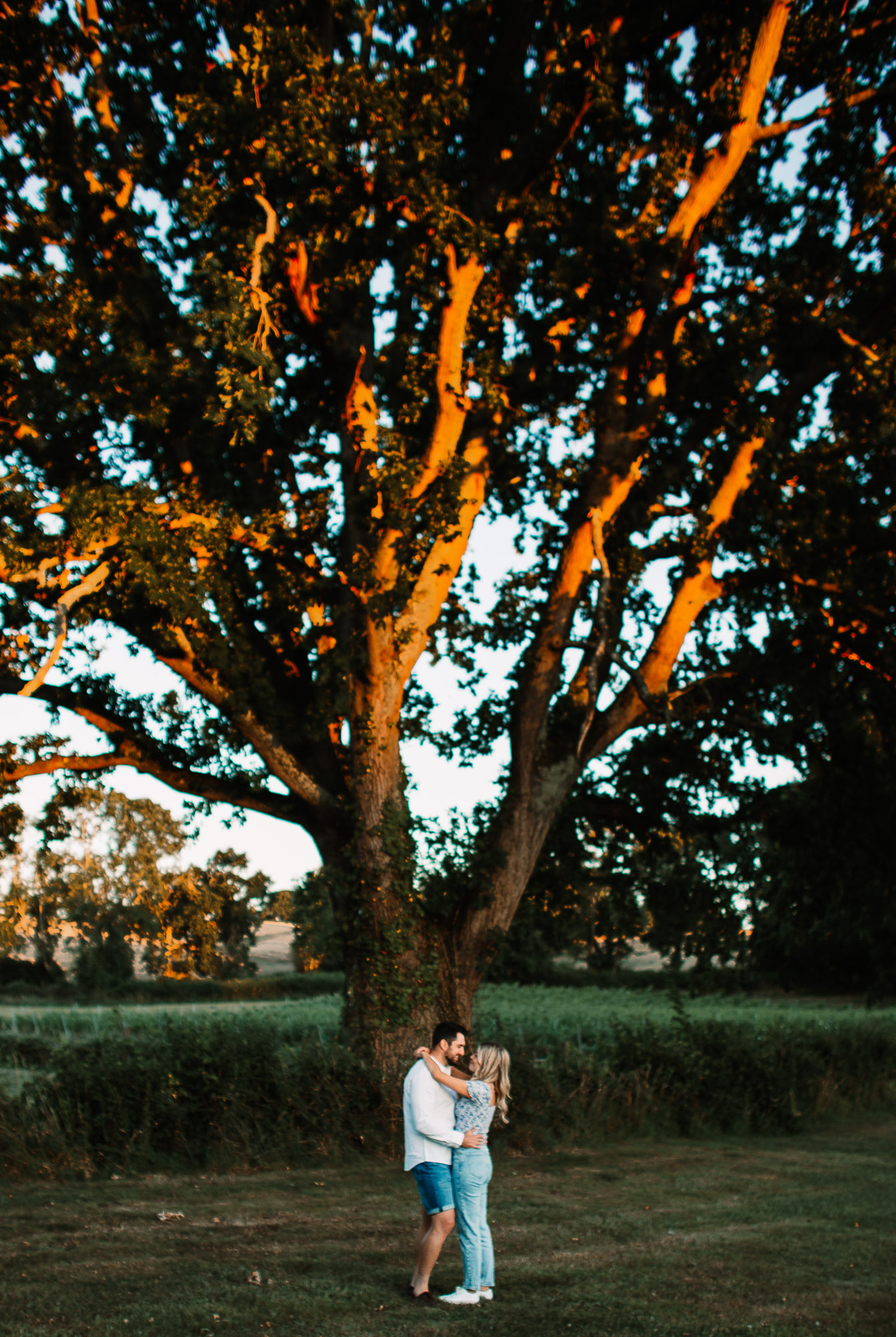 Wedding proposal in the english oak vineyard